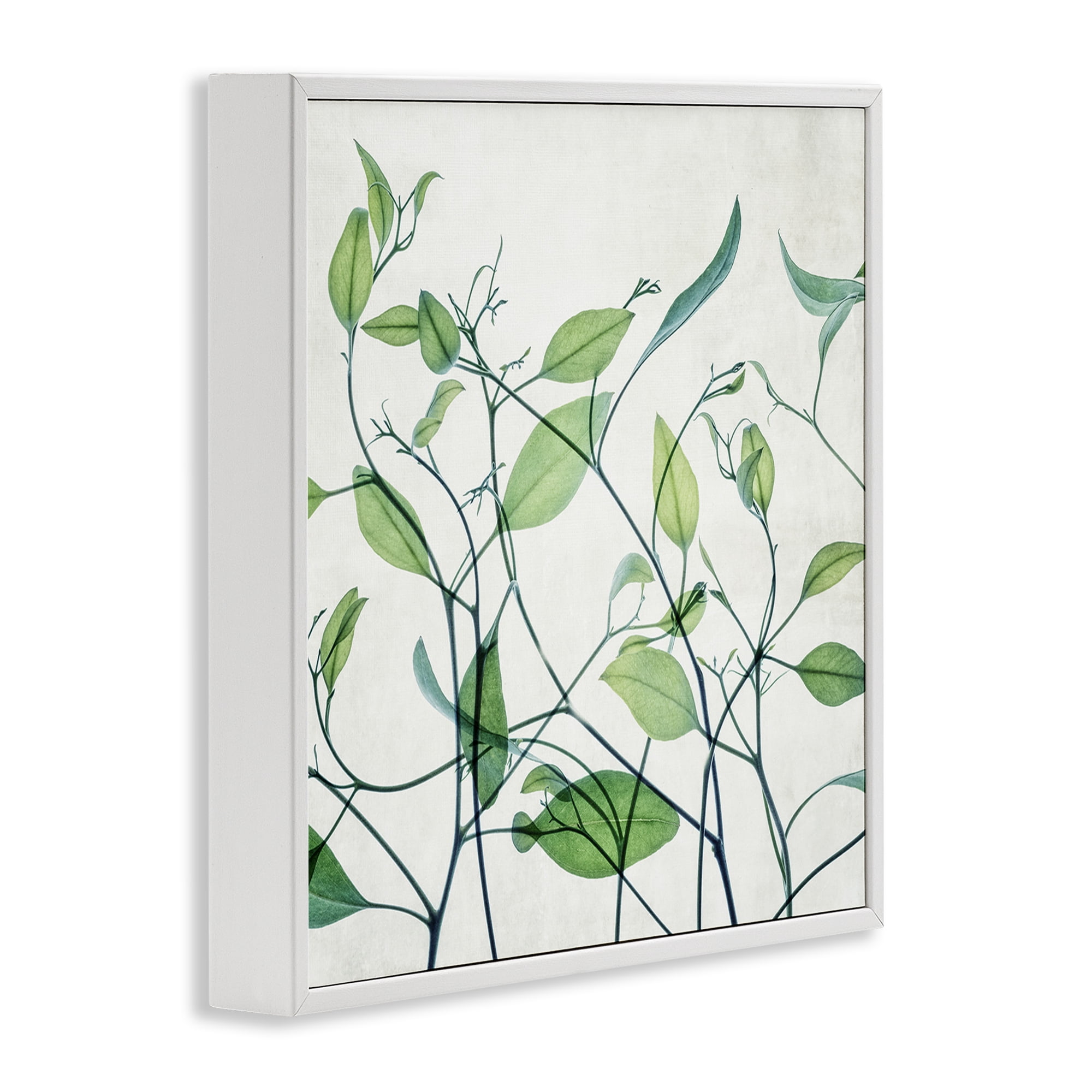 Stupell Industries Modern Vine Pattern Botanical & Floral Painting White Framed Art Print Wall Art, 17 x 17