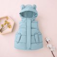 thumbnail image 3 of Chalecos cálidos con capucha para niños y niñas, ropa de otoño e invierno para niños, chaqueta para bebé, chaleco con cremallera, novedad de 2023, 3 of 5