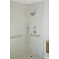 thumbnail image 3 of Grail 1-Spray Premium Adjustable Wall-Mount Hand Shower in Chrome 55085, 3 of 4