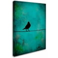 thumbnail image 2 of Trademark Fine Art "Bird's Attention" Canvas Art by Nicole Dietz, 2 of 3