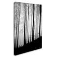 thumbnail image 2 of Trademark Fine Art "Black Lines" Canvas Art by Philippe Sainte-Laudy, 2 of 3