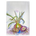 thumbnail image 1 of Betsy Drake GT1101 Vidalia Oignons Serviette d'Invité, 1 of 1