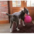 thumbnail image 4 of Horsemen's Pride Tug N Toss Jolly Ball Extra Large Pink Toy for Dogs Horses, 4 of 6