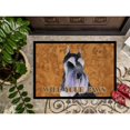 thumbnail image 3 of Carolines Treasures SS4900JMAT Schnauzer Wipe your Paws Doormat 24x36 36"L x 24"W multicolor, 3 of 4