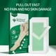 thumbnail image 1 of Fiudx Ofertas Flash Artículos En Oferta 24 Uds. Herramientas De Depilación No Tejidas Para La Cara, Papeles De Cera, Tiras Depilatorias, Depilación, Tamaño Doble, 1 of 5