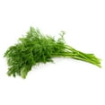 thumbnail image 4 of Dill Plant - Live Plant in a 4 inch Pot - Indoor Outdoor Edible Herbs for Kitchen Garden, 4 of 6