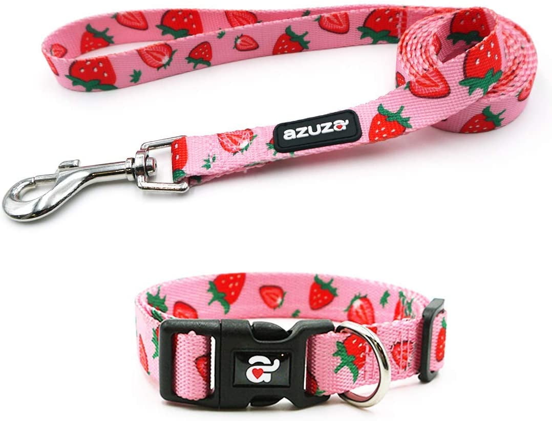 cute dog collar and leash sets