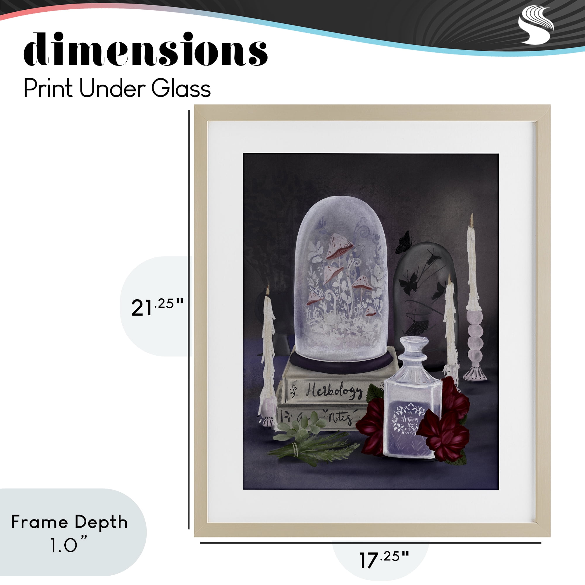 Stupell Industries Spooky Apothecary Vibes Birch Framed Print Under Glass, design by Adreane Fippinger