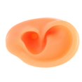 thumbnail image 4 of Silicone Ear Model Soft Flexible Right Ear Reusable Human Ear Model for Ear Piercing Training Earrings Display Left, 4 of 5
