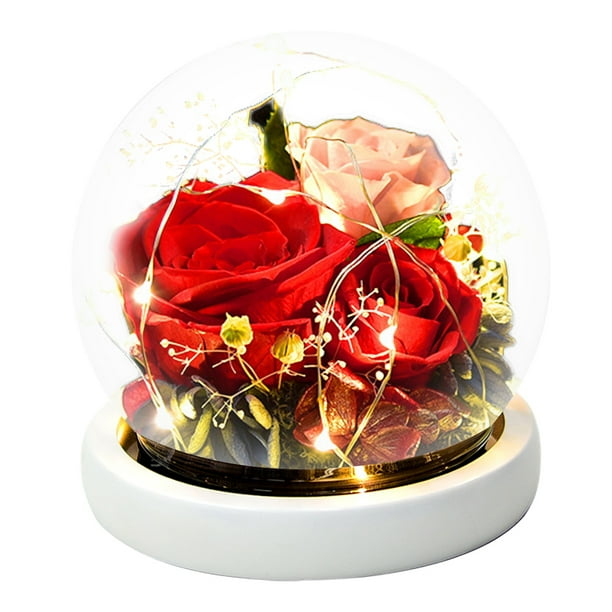 Decoración de flores eternas, rosa más cubierta de cristal de musgo con luces, regalos navideños, regalos de cumpleaños para familiares y amigos