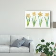 thumbnail image 3 of Trademark Fine Art 'Spring Has Sprung VII' Canvas Art by Courtney Prahl, 3 of 4