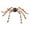 Orange, variant on Comefolife Giant Spider Halloween Decorations Outdoor, Halloween Decor Black Scary Giant Spider for Outdoor Halloween Decorations Indoor, Huge Realistic Spider for Outside Yard Garden Lawn