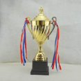 thumbnail image 2 of Large Trophy Cup - Awards Gold Trophy for Sport Tournaments,Competitions,24.5cm, 2 of 3