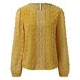 thumbnail image 4 of TAIAOJING Womens Tops Crew Neck Shirts Long Sleeve Blouse Button Down Shirts Roll Up See Through Sleeve Casual Plain Lace Tee Shirts, 4 of 8