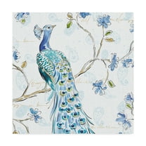 Trademark Fine Art 'Peacock Allegory III White' Canvas Art by Daphne Brissonnet