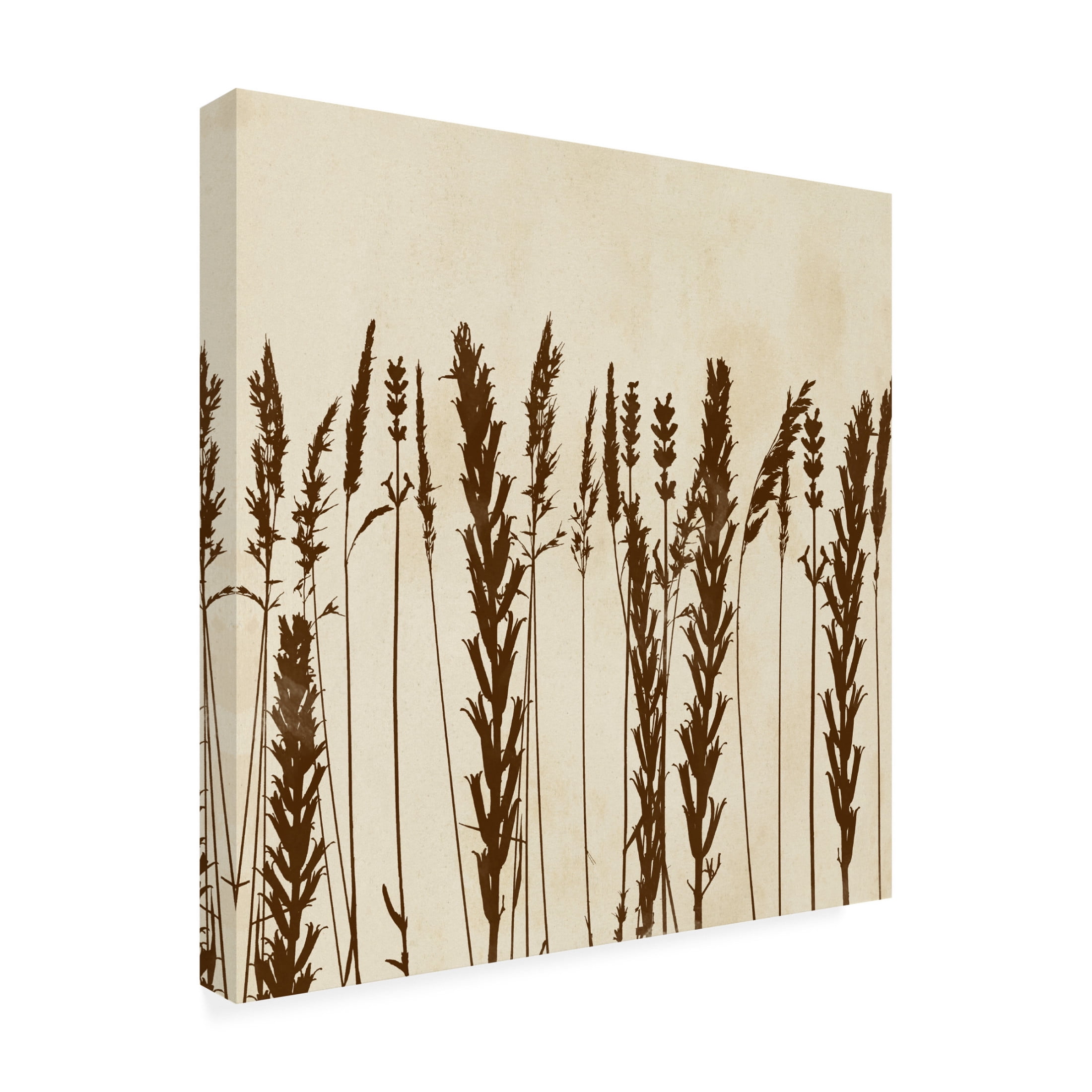 Canvas Wall Art - Vision Studio 'Garden Silhouette LIneup II' Wall Art for Living Room, Bedroom, or Office Décor by Trademark Fine Art - 35 x 35 Inches