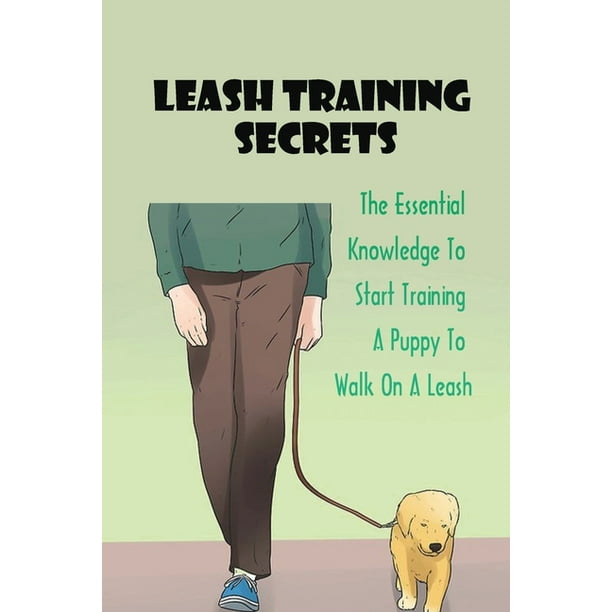 When Can You Start Leash Training A Puppy