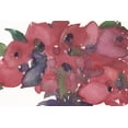 thumbnail image 2 of Dixon, Samuel 14x11 Black Ornate Wood Framed with Double Matting Museum Art Print Titled - Floral Pretty I, 2 of 4