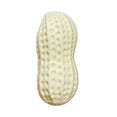 thumbnail image 2 of Dpityserensio Squishy Lifelike Artificial Groundnut with Shells Simulation Groundnut Models for Kitchen Tabletop Decor Thanksgiving Harvests Props Food Photography, 2 of 6