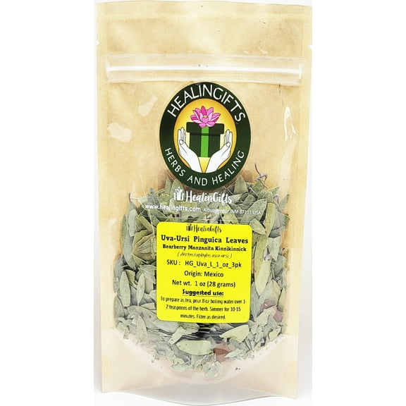 Uva-ursi Pinguica Bearberry Kinnikinnick dried leaves 1 oz