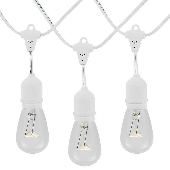 Novelty Lights Clear Incandescent Edison Outdoor String Lights with 50 Bulbs S14 Vintage Bulbs White Wire Suspended 100 Feet