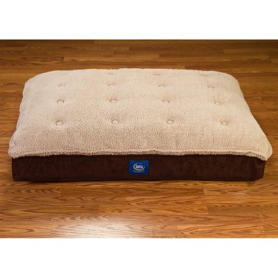 serta perfect sleeper dog bed