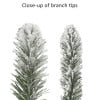 thumbnail image 4 of 6.5 ft Flocked Portland Pine Pencil Tree with 410 tips 300 Multi color Incandescent Lights, 4 of 6