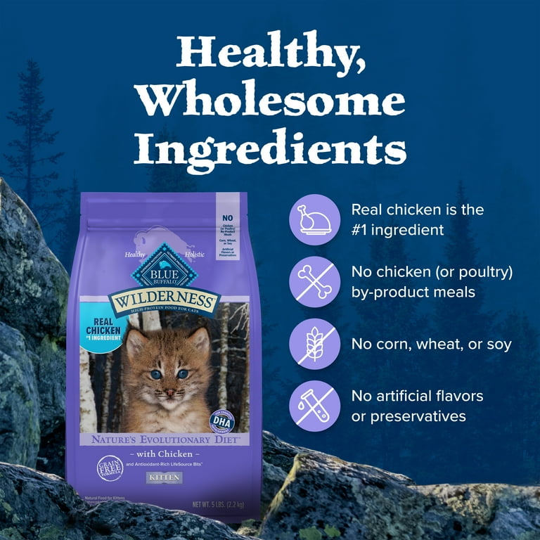 Blue Buffalo Kitten Food, High-Protein Dry Cat Food with Real