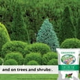 thumbnail image 4 of GreenView Multi-Purpose Fertilizer 10-10-10 Food - 33 lbs., 4 of 7