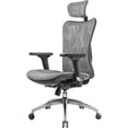 thumbnail image 1 of Silla de oficina SIHOO M57, reposabrazos ergonómicos de 3 posiciones, soporte lumbar, 1 of 5