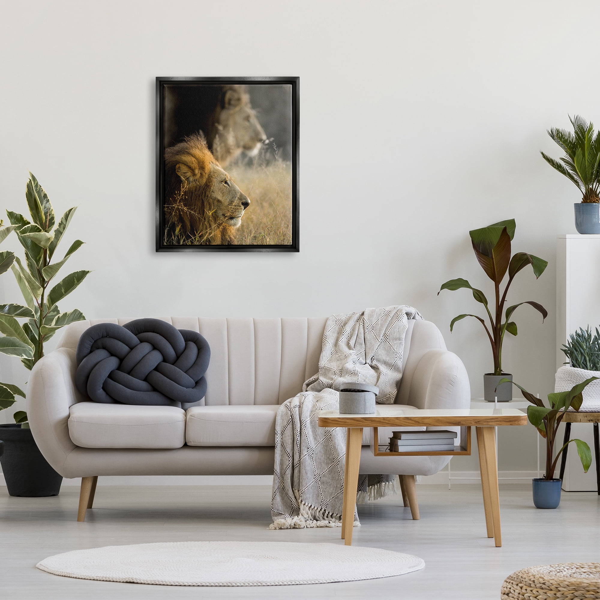 Stupell Industries Lions Lounging Savanna Photography Animals & Insects Photography Black Floater Framed Art Print Wall Art