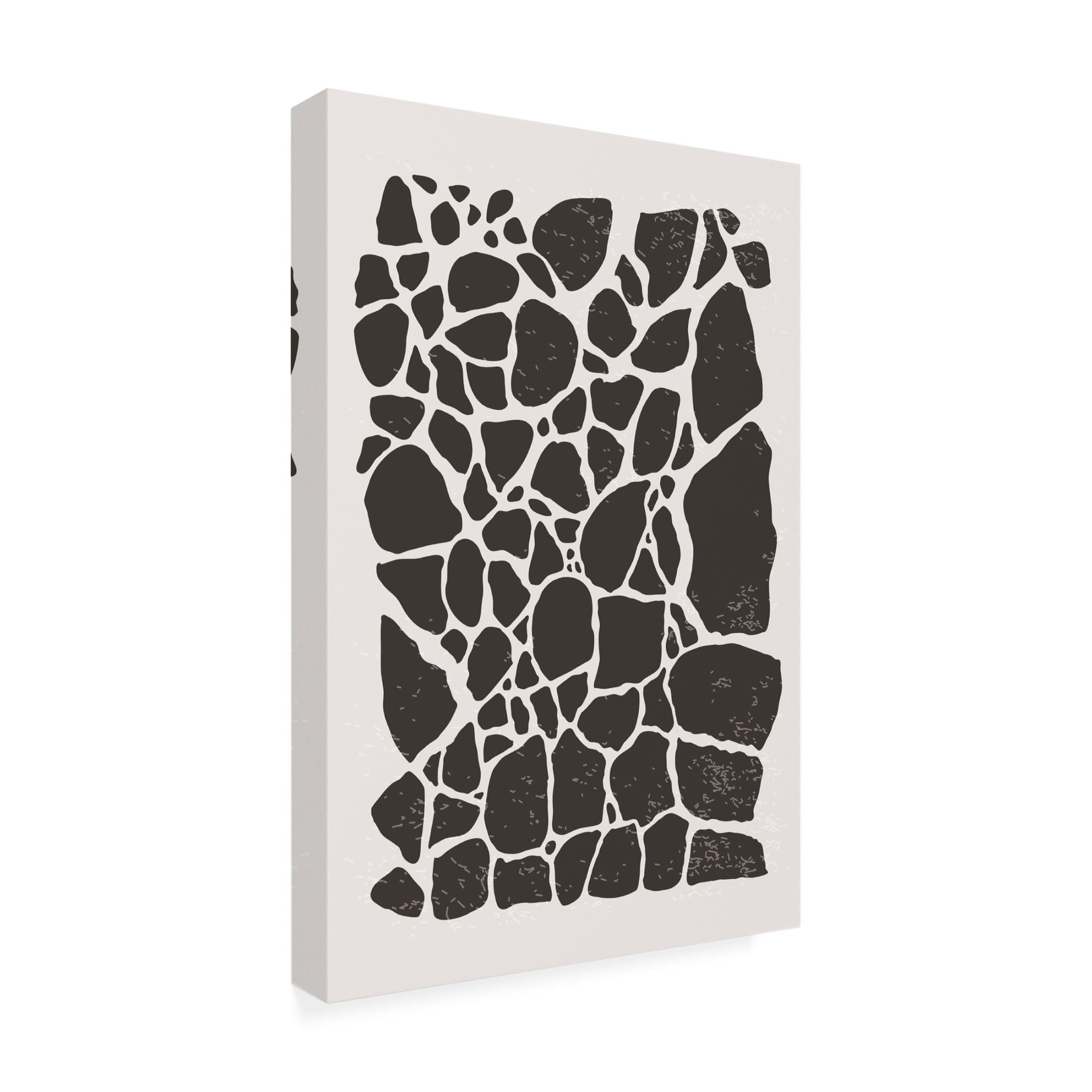 Trademark Fine Art jay stanley  Geometric Rocky Pattern Canvas Wall Art