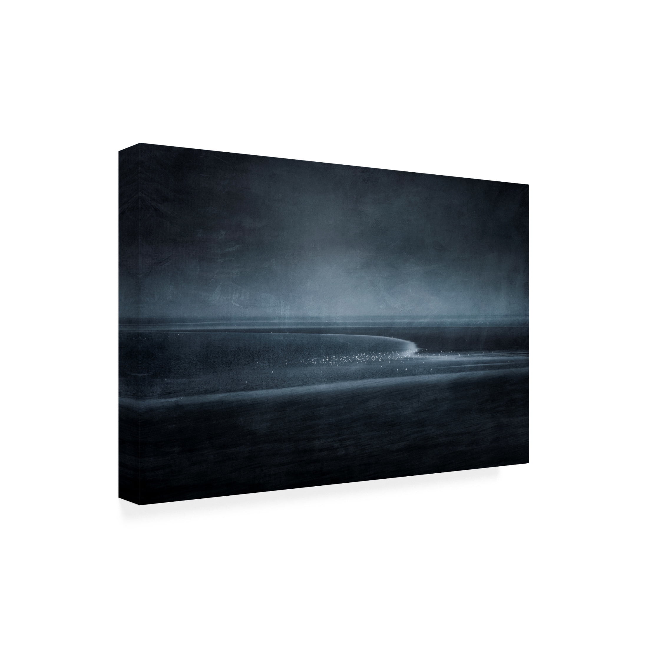 Canvas Wall Art - Fuyuki Hattori 'Silence' Wall Art for Living Room, Bedroom, or Office Décor by Trademark Fine Art - 32 x 22 Inches