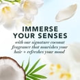thumbnail image 6 of Herbal Essences Classics Hydrate Coconut Water & Jasmine Shampoo 13.5 fl oz, 6 of 13