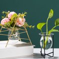 thumbnail image 3 of FAROOT Glass Vase, Transparent Hydroponics Vase Bottle Glass Planter, 3 of 5