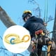 thumbnail image 4 of 2 uds Camp Cambium Saver Loop Gear equipo ancla recuperable Durable Arborist Amarillo 90cm Naranja 120cm kusrkot Cuerda de escalada, 4 of 8