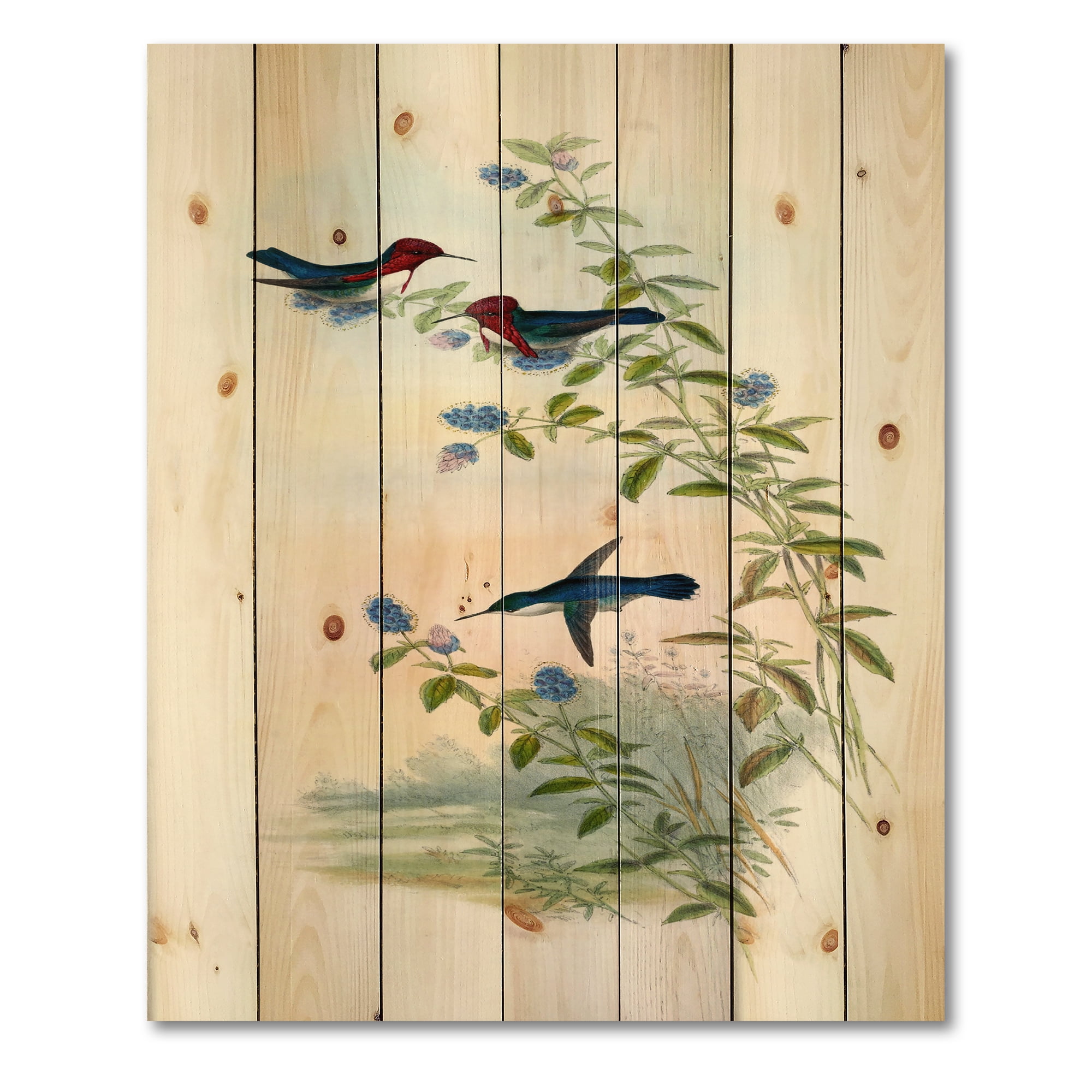 Designart 'Ancient Hummingbird II' Traditional Print on Natural Pine Wood