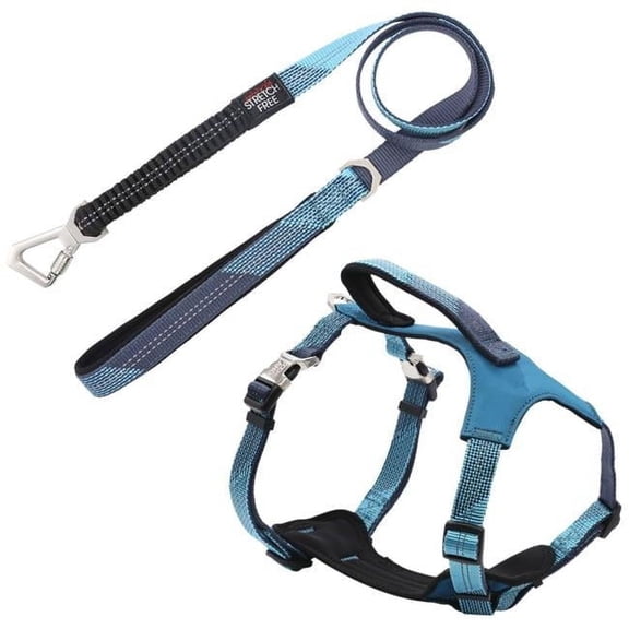 Geo-prene 2-in-1 Shock Absorbing Neoprene Padded Reflective Dog Leash & Harness, Blue - Small