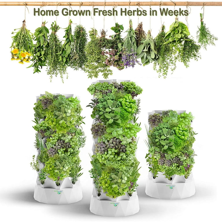 Take your gardening skills to new heights with aeroponic tower gardening. Learn how to tackle challenges and reap the rewards of sustainable, efficient planting.