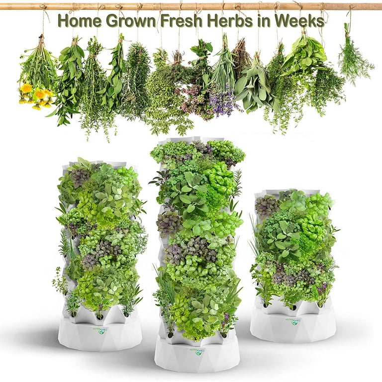 Challenges and Solutions in Aeroponic Tower Gardening 6 Take your gardening skills to new heights with aeroponic tower gardening. Learn how to tackle challenges and reap the rewards of sustainable, efficient planting.