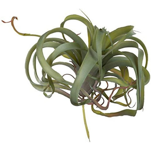 A&B Home 8-inch Faux Green Spider Plant Light Green