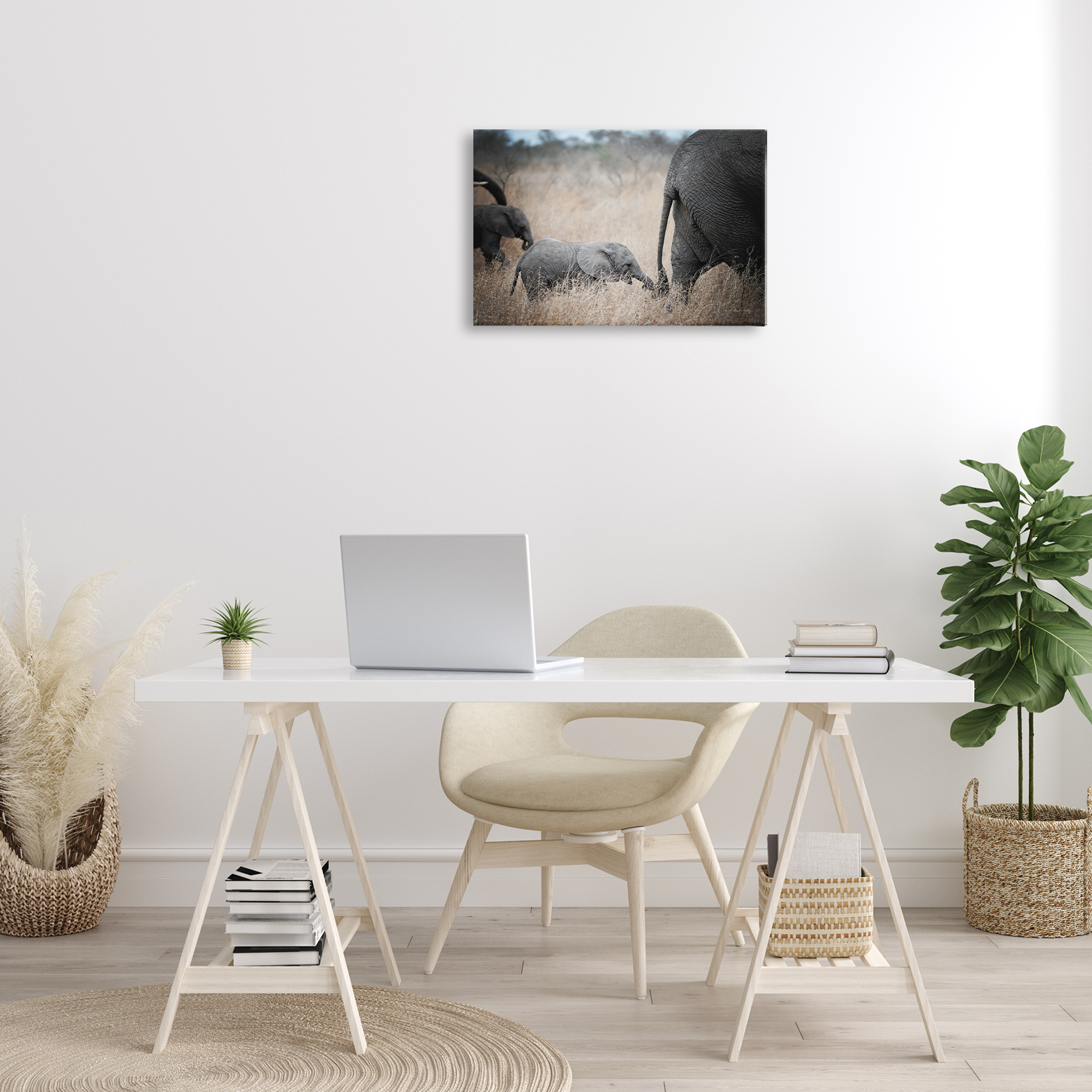 Stupell Industries Baby Elephant Strolling Animals Photography Wrapped Canvas Art Print Wall Art, 24 x 16