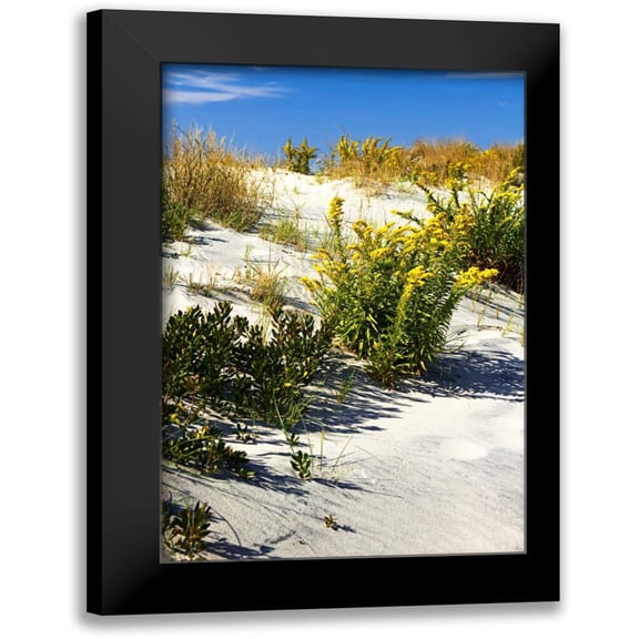 Hausenflock, Alan 11x14 Black Modern Framed Museum Art Print Titled - Assateague Beach VI