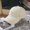 Beige, variant on Minimalist Letter R Embroidered Baseball Cap, Beige Cotton Casual Hat-Beige
