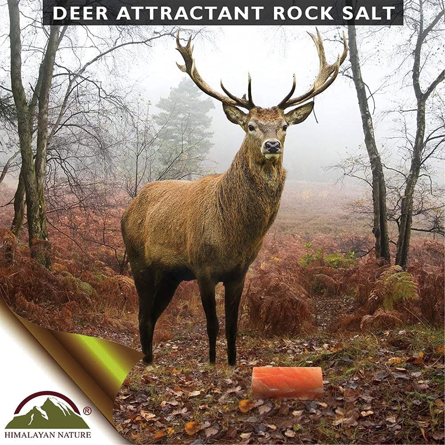 HIMALAYAN PINK SALT 84 Licking Salt Brick for Deer, Pink Rock Mineral Natural - pack of 2