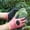 Pink, variant on Horticultural Gloves Making Them Stab Wear Puncture Waterproof And Breathable They Are Suitable For Home Gardening Outdoor Use And Multiple Purposes
