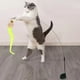 thumbnail image 4 of 6 uds lindo gato de juguete gato gatito juguete interactivo interior bola de madera oruga, 4 of 5
