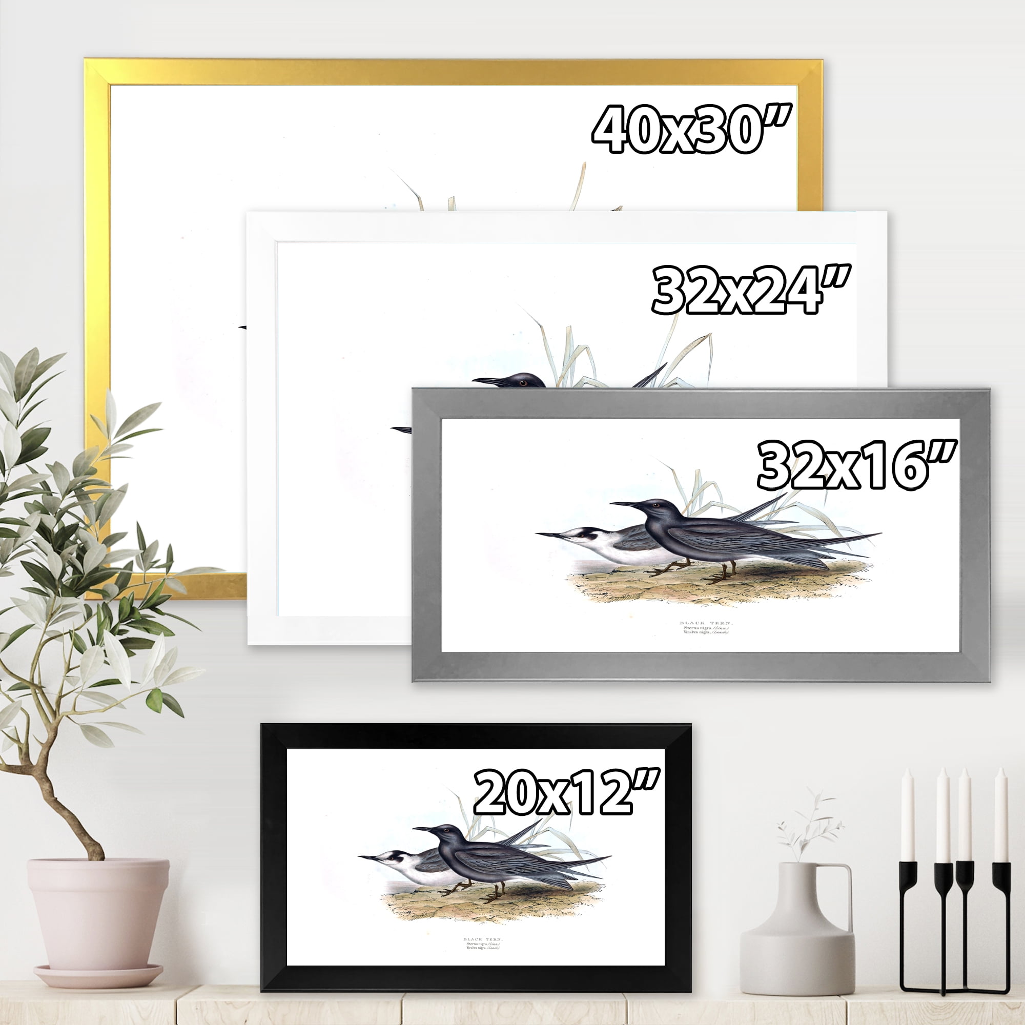 Designart 'Ancient Bird Of Europe II' Traditional Framed Art Print