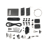 WL Style Build Your Own Guitar Kit