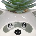 thumbnail image 2 of Artificial Succulent Plant in Raccoon Planter, 2 of 4